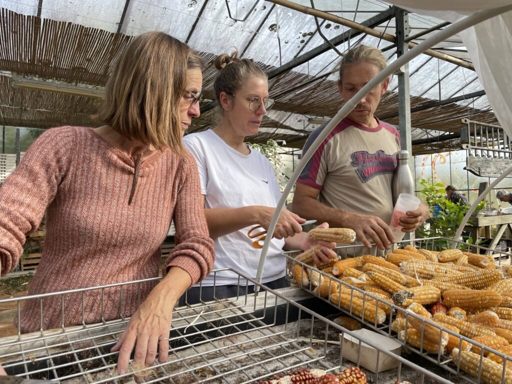 jardin partagé tous a l'oeuvre