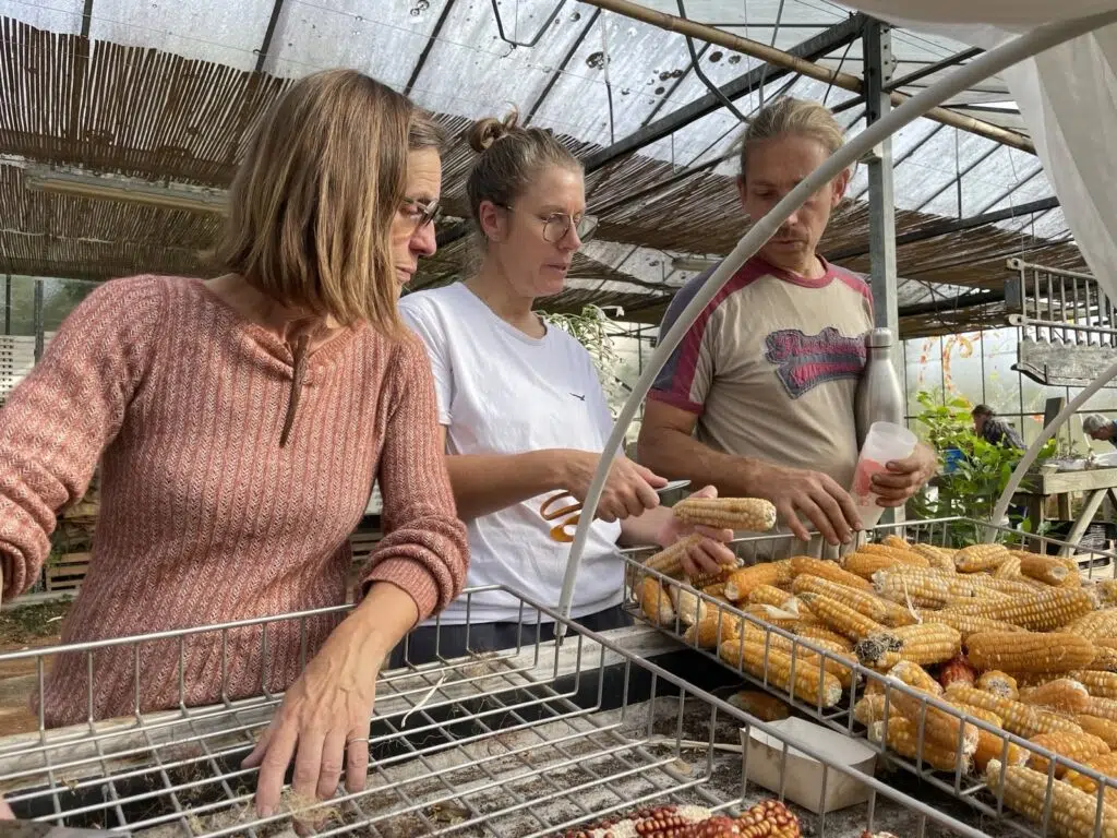 jardin partagé tous a l'oeuvre