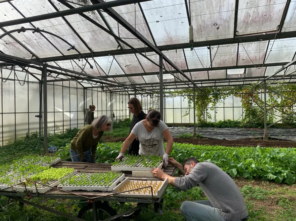 potager partagé changé